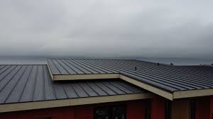 Best Slate Roofing  in Meridian, CO